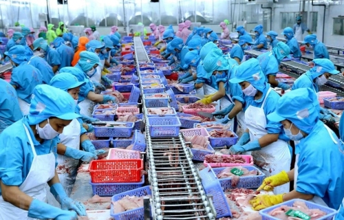Ngành thủy sản Việt Nam trước áp lực thuế 20% từ Mỹ: Thách thức hiện hữu – Cơ hội mở ra