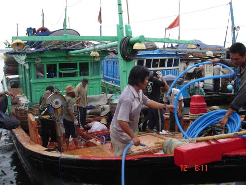 Thực hiện tháng cao điểm chống khai thác hải sản bất hợp pháp