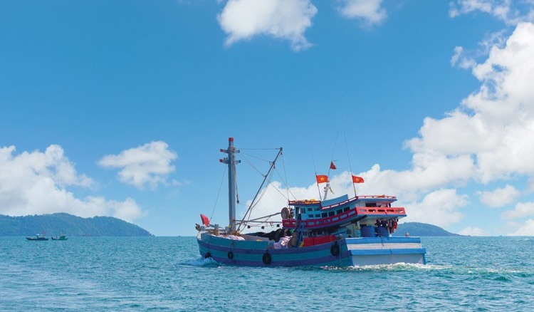 Từ khơi xa đến bến bờ Hành trình làm nghề cá có trách nhiệm