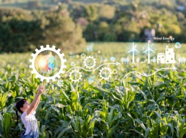 Dịch vụ khoa học công nghệ