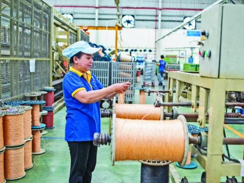 SIAM BROTHERS VIỆT NAM 1