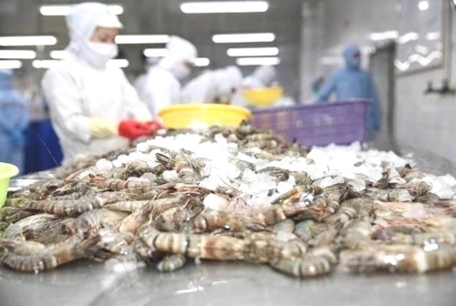 Xuất khẩu tôm đi EU - Quý I / 2025