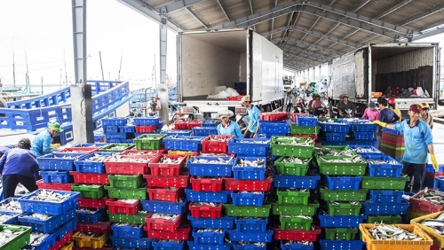 Quy hoạch cảng biển Sóc Trăng theo tiêu chí cảng xanh, cảng biển thông minh