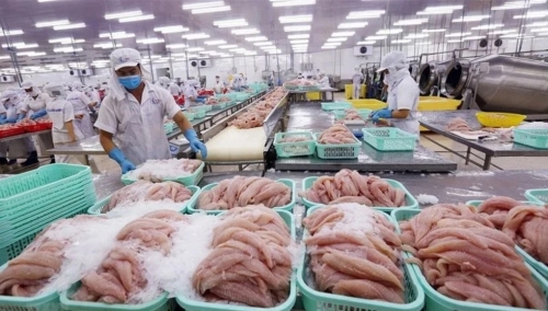 Thủy sản tăng tốc xuất khẩu sang Mỹ, đối mặt cạnh tranh với Trung Quốc