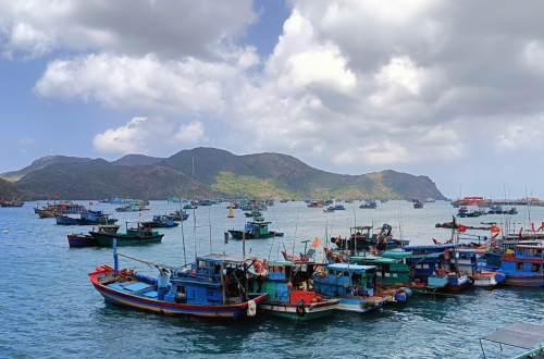 Cục Thủy sản và Kiểm ngư lên tiếng việc tàu cá vùng khơi đăng kiểm hoạt động vùng lộng