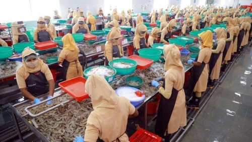 Hợp tác chế biến xuất khẩu thủy sản Việt Nam - Ấn Độ giàu tiềm năng