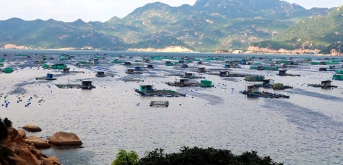 Khoa học công nghệ - Đổi mới sáng tạo - Chuyển đổi số: Động lực phát triển đột phá ngành thủy sản