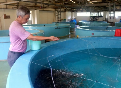 Khoa học công nghệ - Đổi mới sáng tạo - Chuyển đổi số: Động lực phát triển đột phá ngành thủy sản