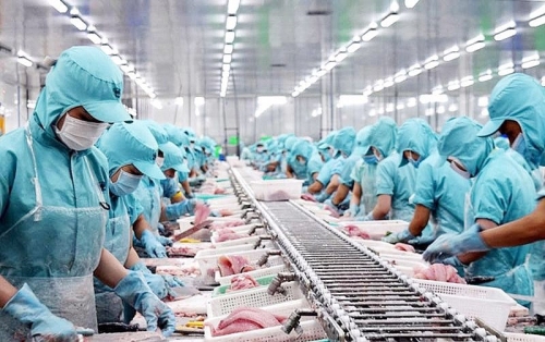 Nỗ lực tìm kiếm và mở rộng thị trường xuất khẩu nông, lâm, thủy sản