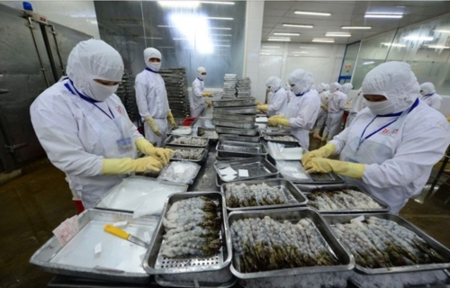 Một số doanh nghiệp thủy sản tạm dừng đàm phán đơn hàng mới