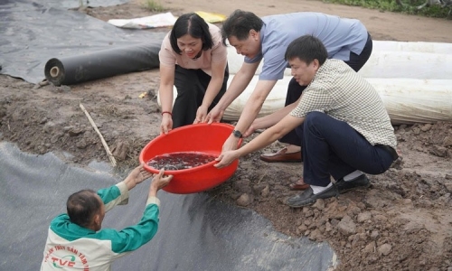 Nuôi cá rô phi 78: Bước tiến mới trong phát triển thủy sản ở Hải Dương