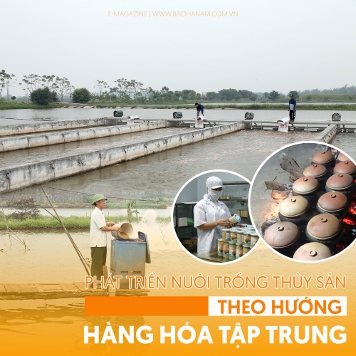 Hiệu quả từ phát triển nuôi thủy sản theo hướng tập trung