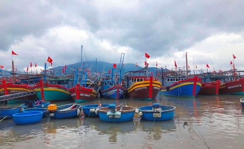 Quảng Bình: Phạt hơn 1,3 tỷ đồng do vi phạm khai thác từ đầu năm