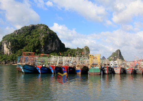 Quảng Ninh: Quyết liệt gỡ “thẻ vàng” IUU