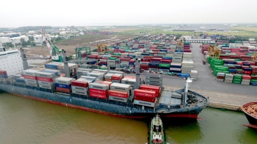 Xuất khẩu thủy sản tháng 5/2025 tăng chậm lại: Tác động từ thuế quan Hoa Kỳ