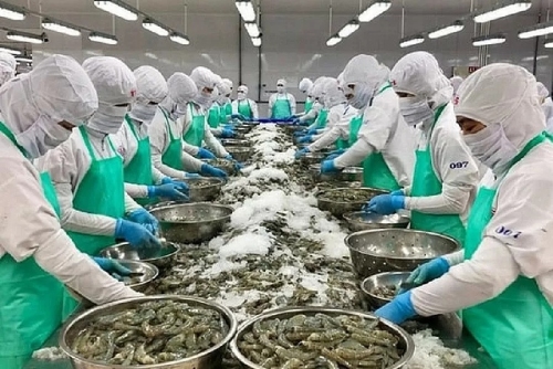 Ngành thủy sản linh hoạt thị trường xuất khẩu
