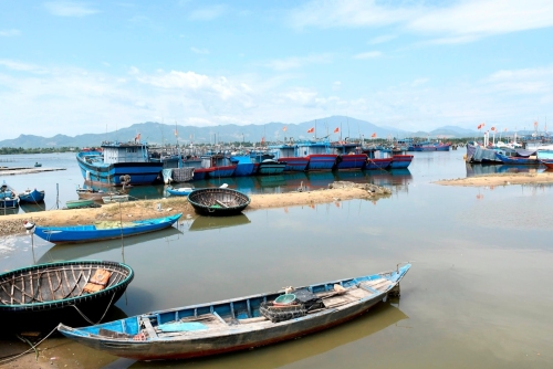 Đà Nẵng: Khẩn trương hoàn thành chuỗi liên hoàn hậu cần nghề cá