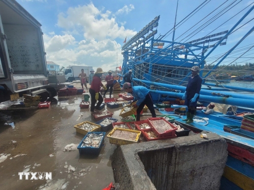 TP Hồ Chí Minh giám sát chặt tàu cá, quyết tâm cùng cả nước gỡ “thẻ vàng” IUU