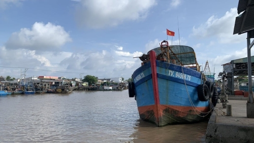 Vĩnh Long thành lập Ban Chỉ đạo chống khai thác IUU