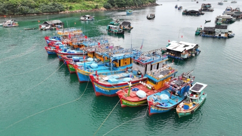 An Giang: hỗ trợ kinh phí nâng cấp, thay thế thiết bị giám sát hành trình tàu cá
