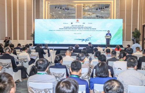 Tiềm năng xăng sinh học từ rong mơ Việt Nam