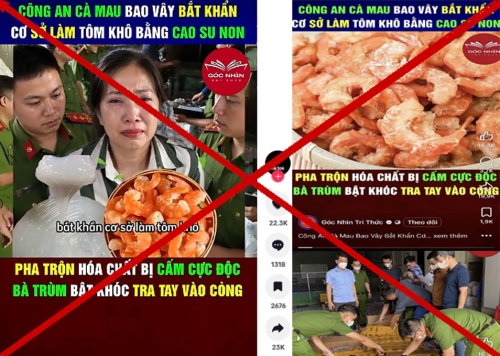 Cà Mau bác bỏ tin đồn thất thiệt "Tôm khô làm từ cao su non"