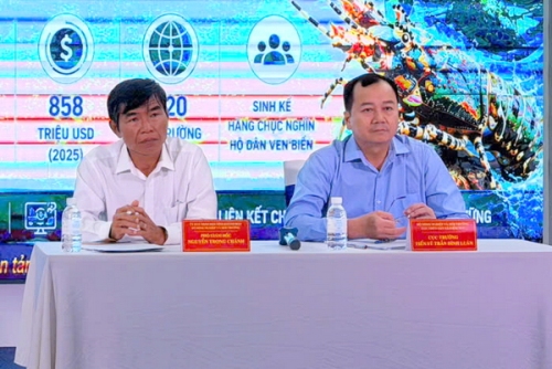 Nâng tầm chuỗi giá trị tôm hùm: Cần giải pháp từ gốc Phát triển chuỗi giá trị tôm hùm không phải là mở rộng quy mô bằng mọi giá, mà là chuyển mạnh sang phát triển theo chiều sâu. Tôm hùm đang khẳng định vị thế là một trong những ngành hàng có gi