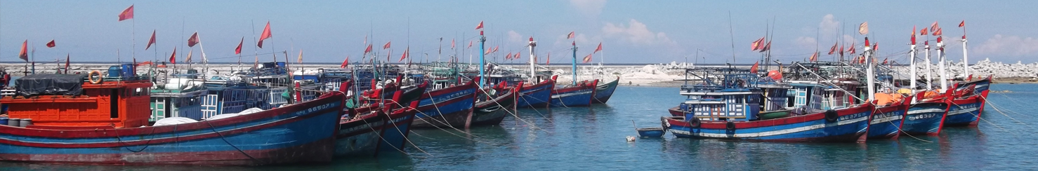 HỘI THỦY SẢN VIỆT NAM - VINAFIS