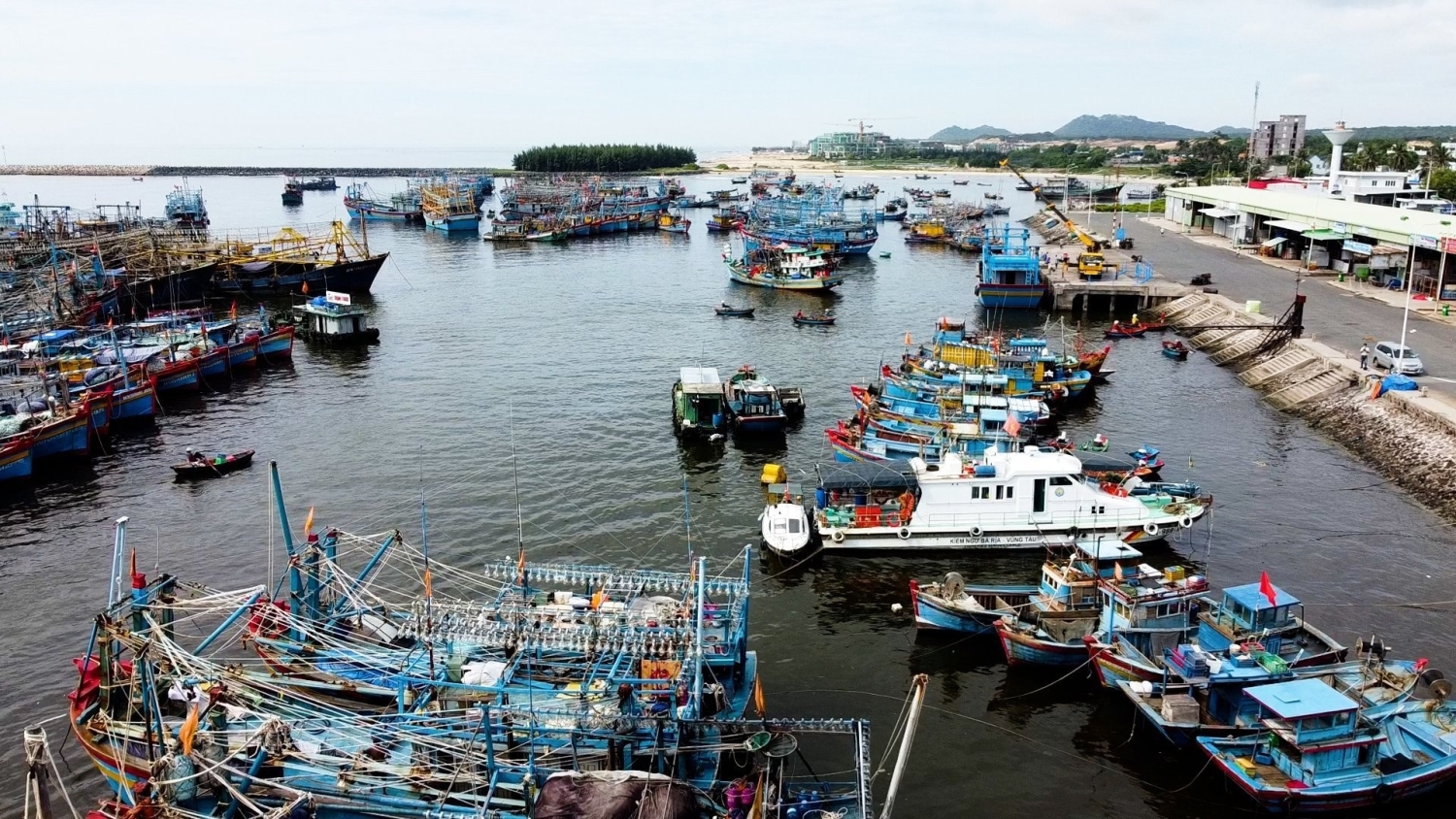 hoi nghe ca doi ten thanh hoi thuy san tinh 1