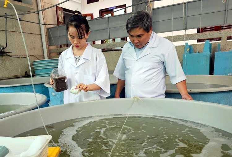 vien nghien cu nuoi trong thuy san iii 1
