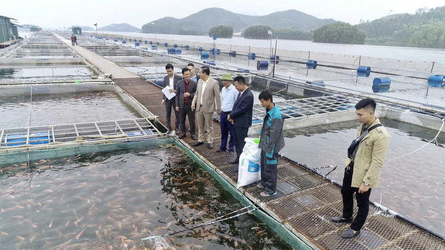 Công ty CP Cá sạch Việt Nam ảnh 2