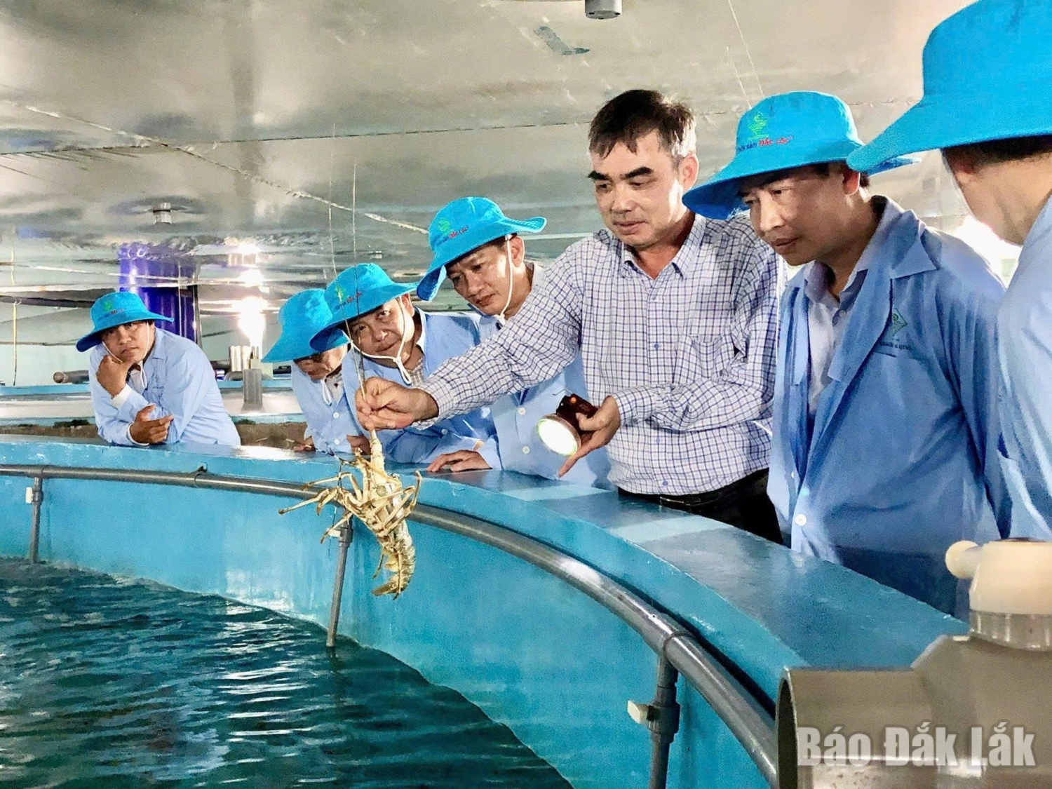 Lê Hữu Tình nhà khoa học của nhà nông ảnh 1