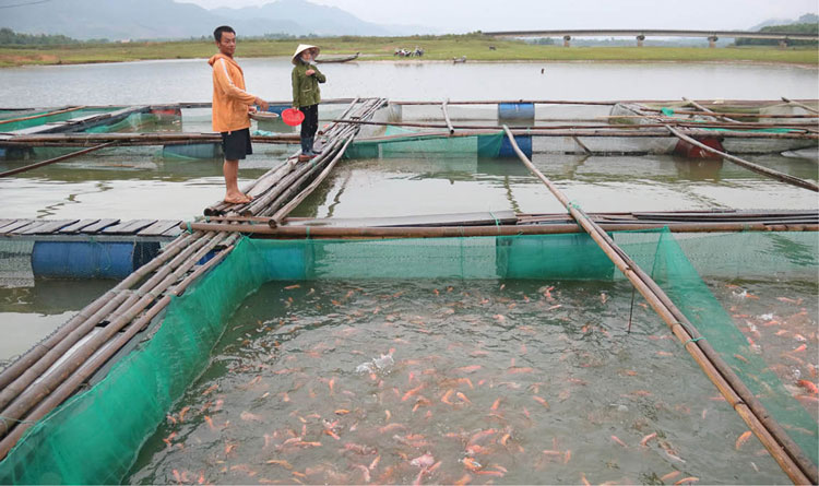 nuoi thuy san long be 1