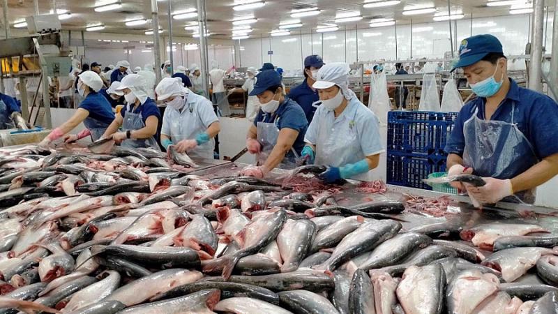 Chiến lược phát triển ngành chế biến thủy sản