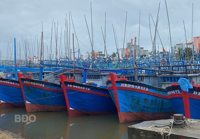 Hoài Nhơn đẩy mạnh chống khai thác IUU
