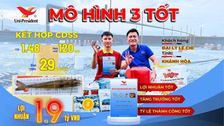 khanh hoa bung no mo hinh nuoi tom 3 tot 2