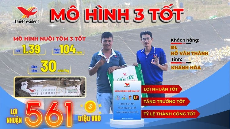 khanh hoa bung no mo hinh nuoi tom 3 tot 3