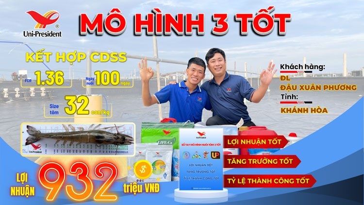 khanh hoa bung no mo hinh nuoi tom 3 tot 4