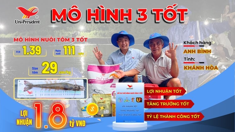 khanh hoa bung no mo hinh nuoi tom 3 tot 5