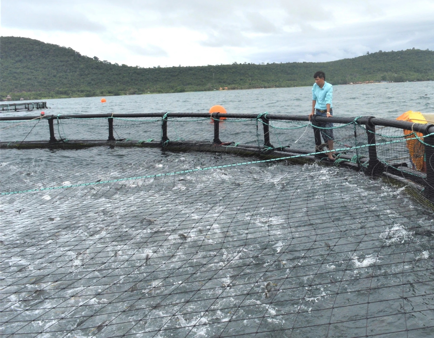 kien giang dat muc tieu 830000 tan thuy san 1