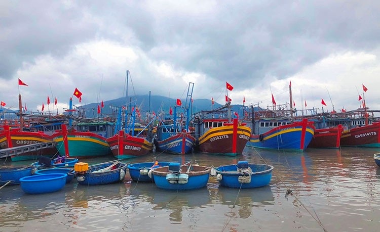 quang binh phat hon 1 3 ty dong do vi pham khai thac tu dau nam