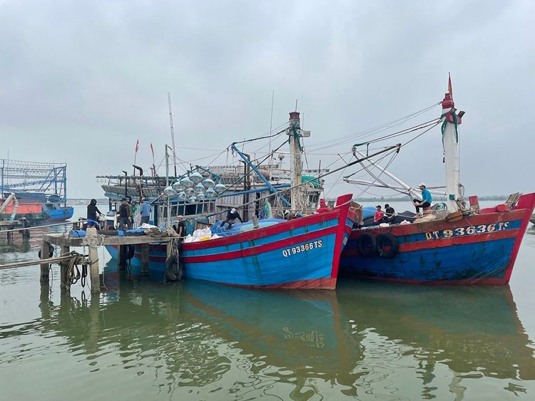 Quảng Trị Xử phạt ngư dân 35 triệu đồng vì khai thác sai quy định