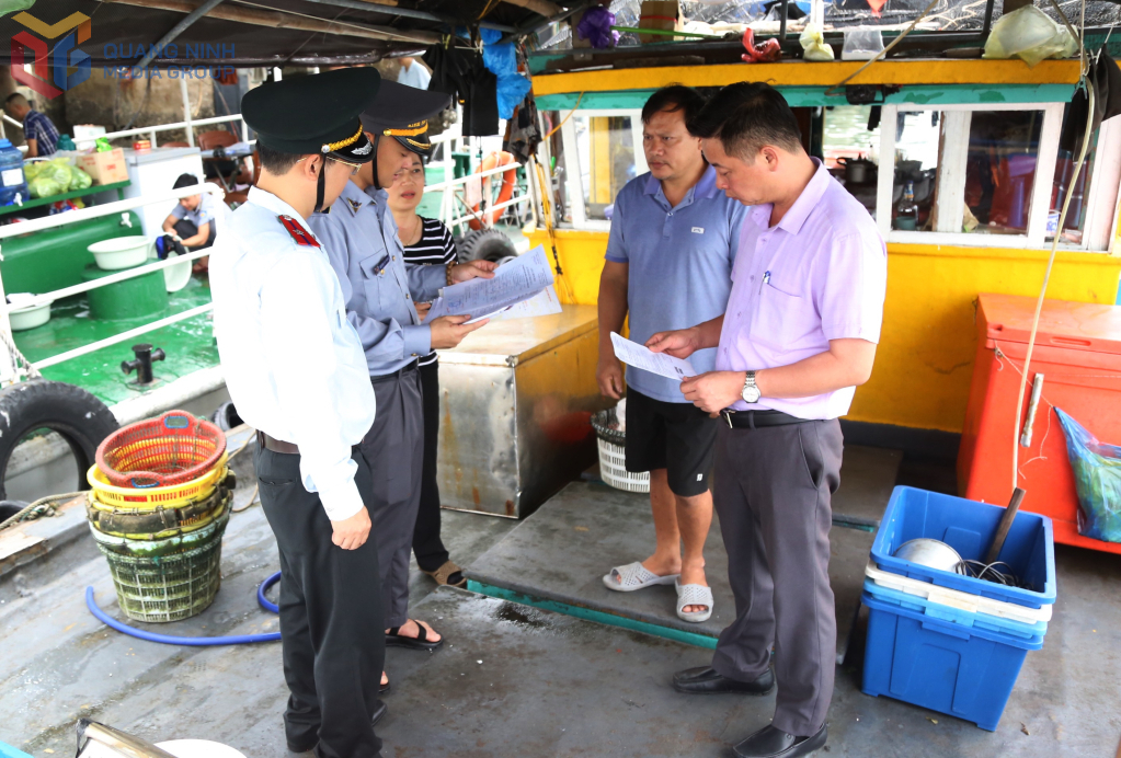 quyet liet cac giai phap go the vang iuu 4