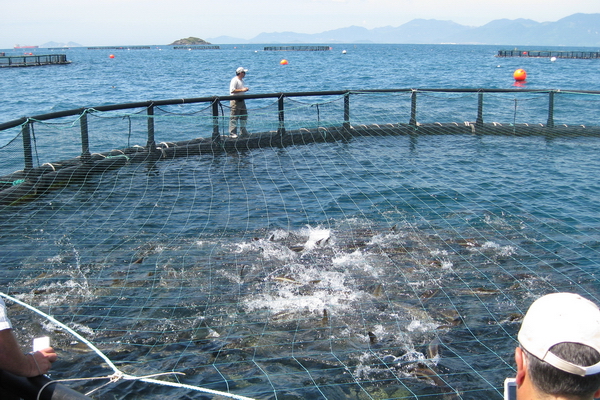nuoi bien khanh hoa