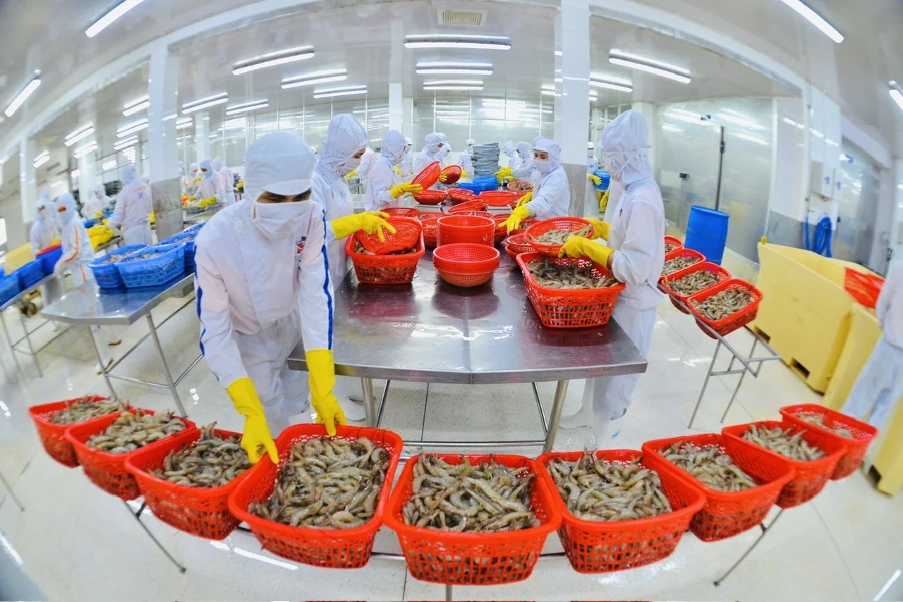 Bàn giải pháp thúc đẩy xuất khẩu nông lâm thủy sản năm 2025 12