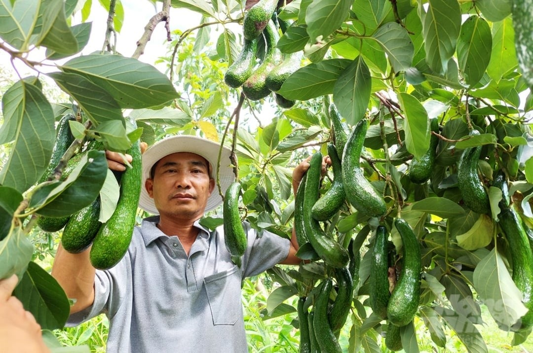 Bàn giải pháp thúc đẩy xuất khẩu nông lâm thủy sản năm 2025 17