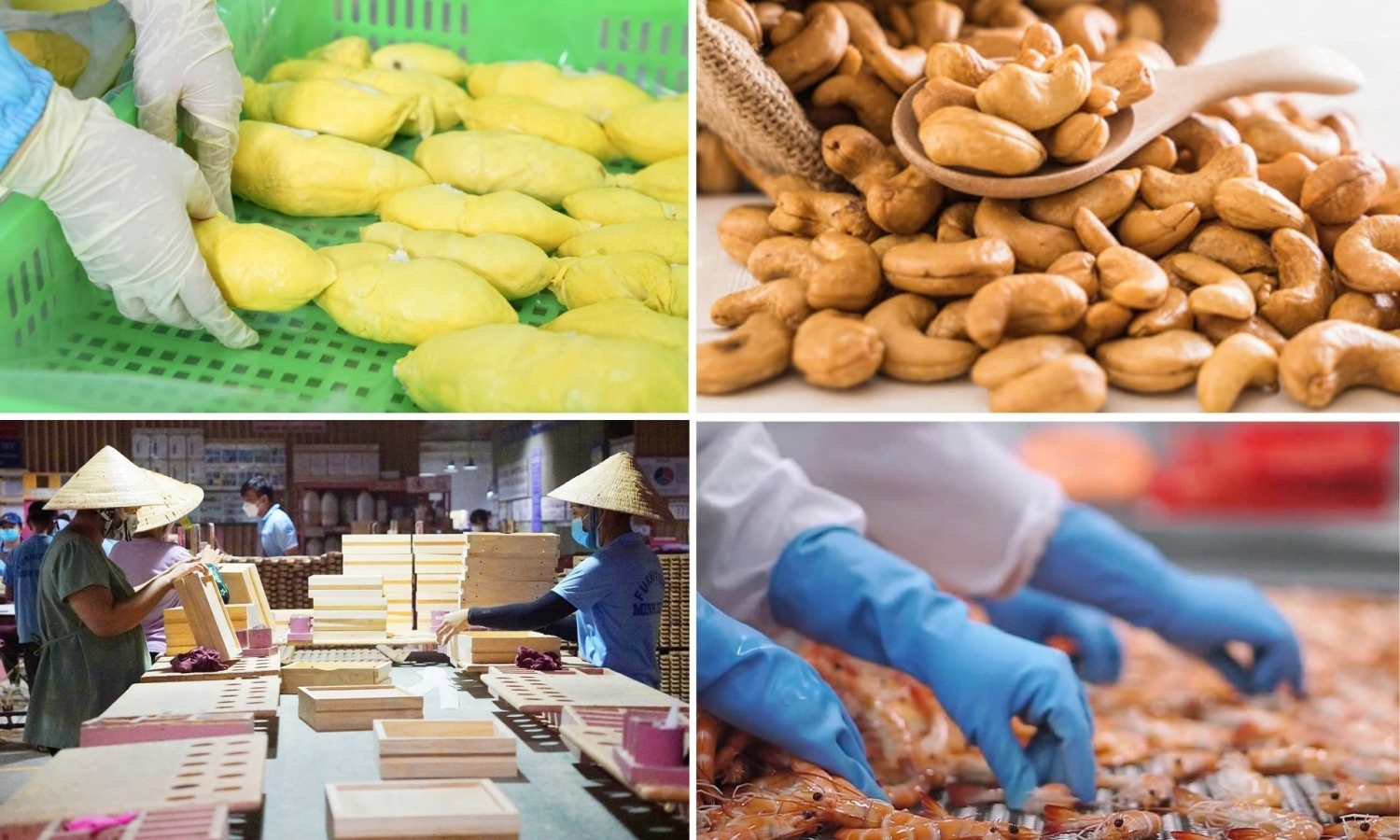 Bàn giải pháp thúc đẩy xuất khẩu nông lâm thủy sản năm 2025 21