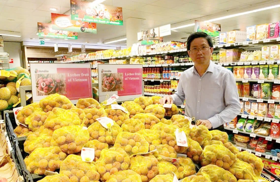 Bàn giải pháp thúc đẩy xuất khẩu nông lâm thủy sản năm 2025 4