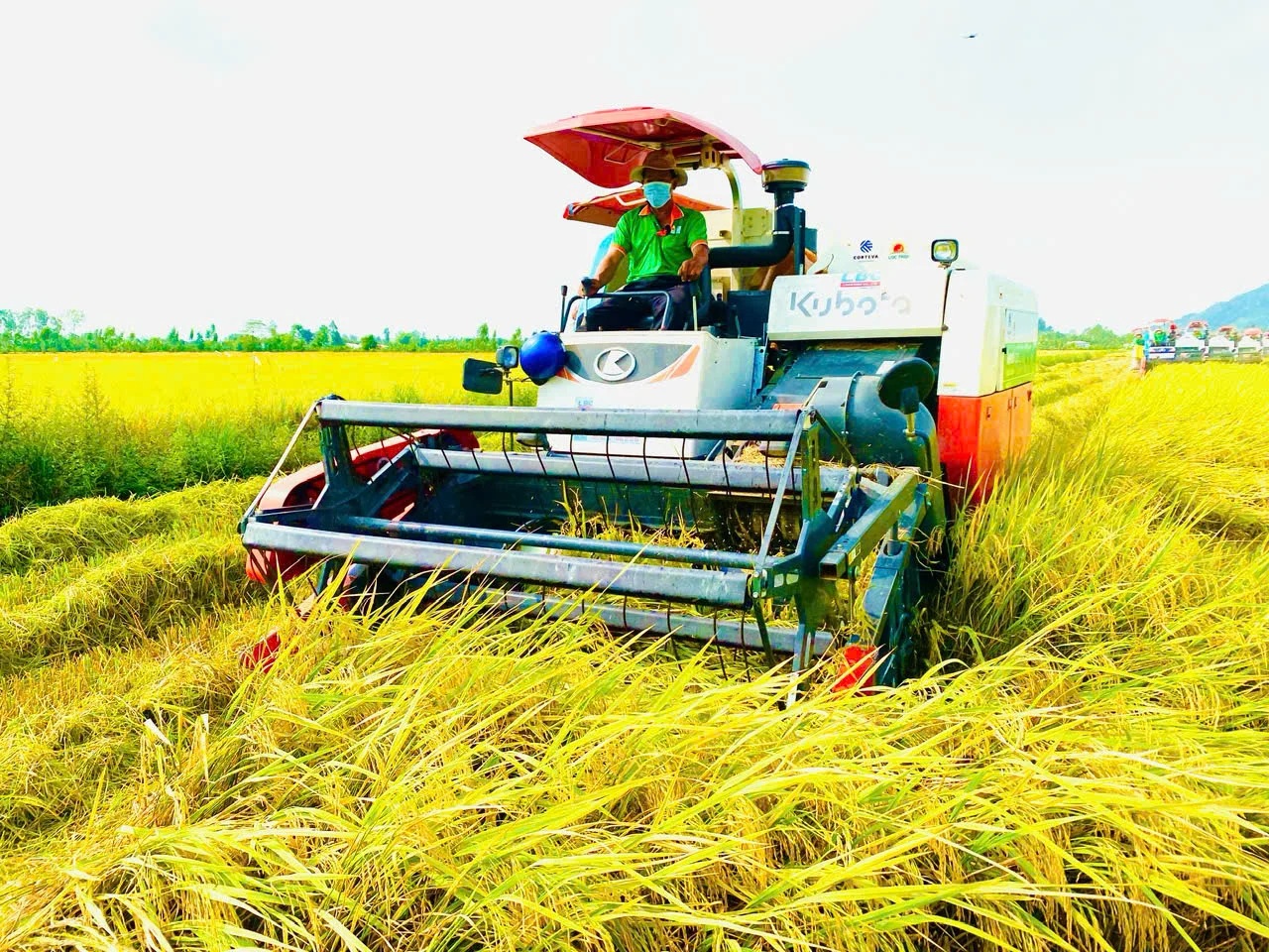 Bàn giải pháp thúc đẩy xuất khẩu nông lâm thủy sản năm 2025 6