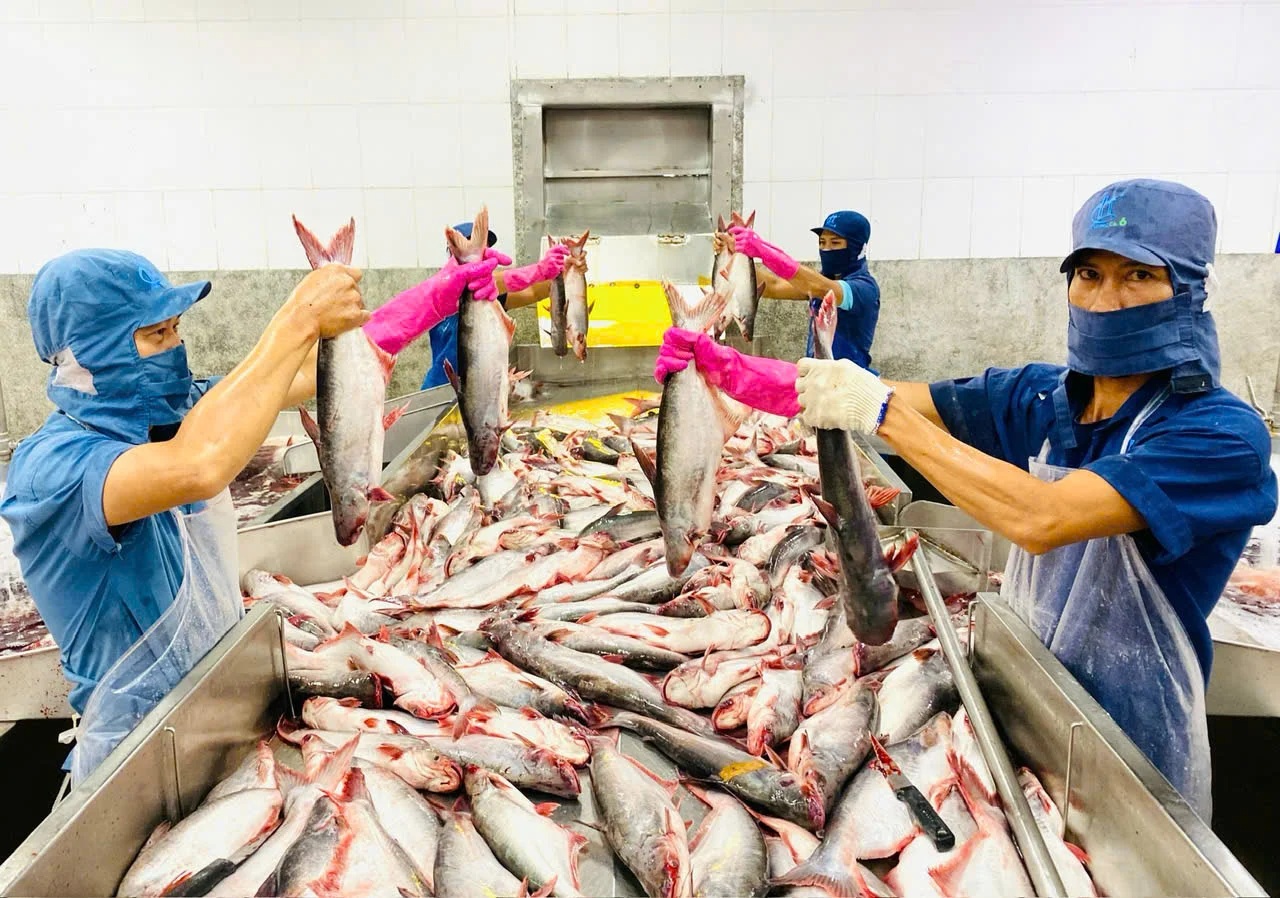 Bàn giải pháp thúc đẩy xuất khẩu nông lâm thủy sản năm 2025 8